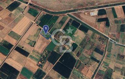 CB KiNG 'DEN GÖKÇEYAZI YENİ MAHALLE'DE SATILIK 2415 M2 TARLA