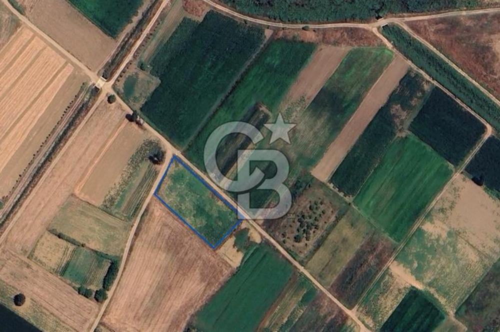 CB KiNG 'DEN GÖKÇEYAZI YENİ MAHALLE'DE SATILIK 2415 M2 TARLA