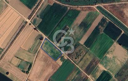 CB KiNG 'DEN GÖKÇEYAZI YENİ MAHALLE'DE SATILIK 2415 M2 TARLA