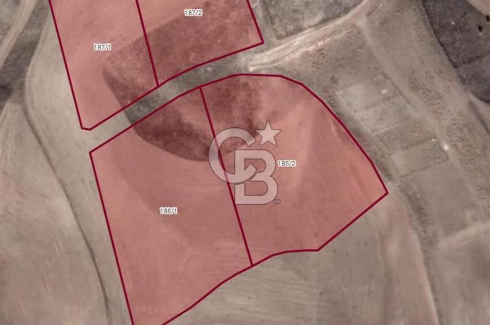 ESKİŞEHİR YOLU ÜZERİNDE, 28.036m2, 0.50 EMSAL, 74 VİLLA ARSASI