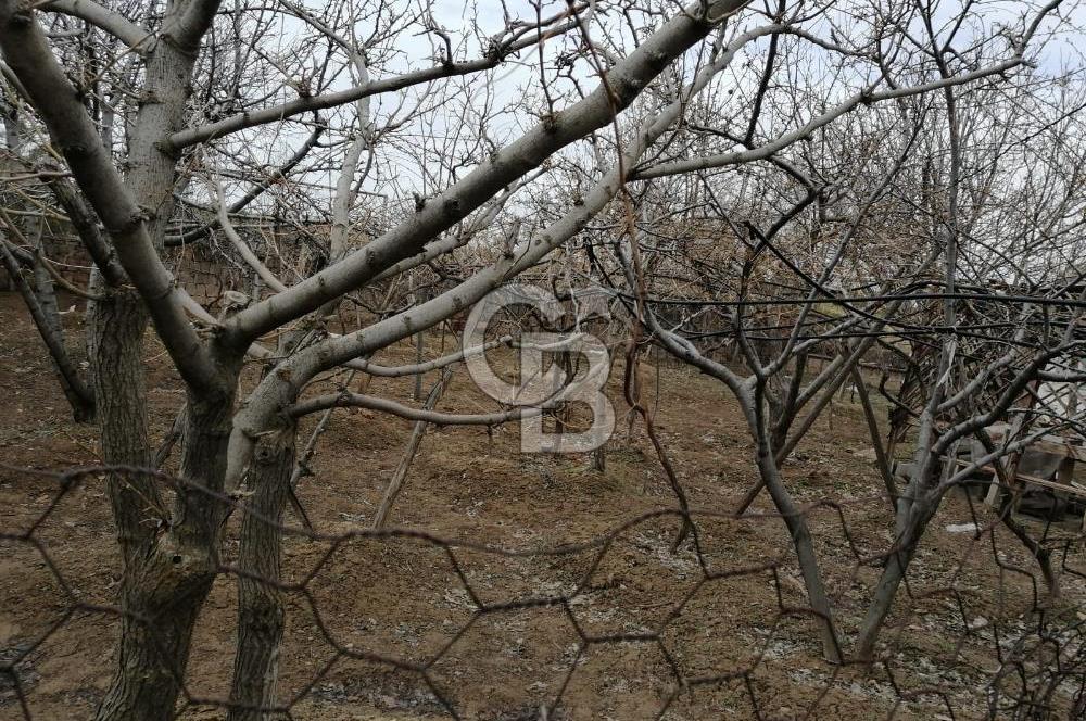 HACIBEKTAŞ MERKEZ'DE GENİŞ BAHÇELİ 2 KATLI MÜSTAKİL EV(2 DAİRE)