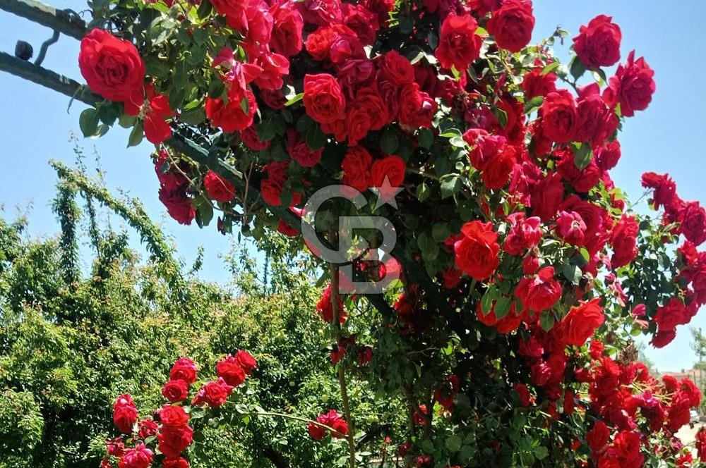 ÇanakkaleAyvacık Mıhlı'da Denize Sıfır Havuzlu Tripleks Villa