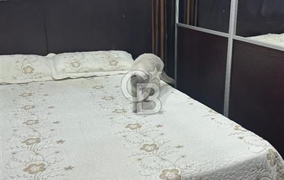 ANKARA KEKLİKPINARI MALAZGİRT MAH.1014 SOK 3+1 SATILIK DAİRE 