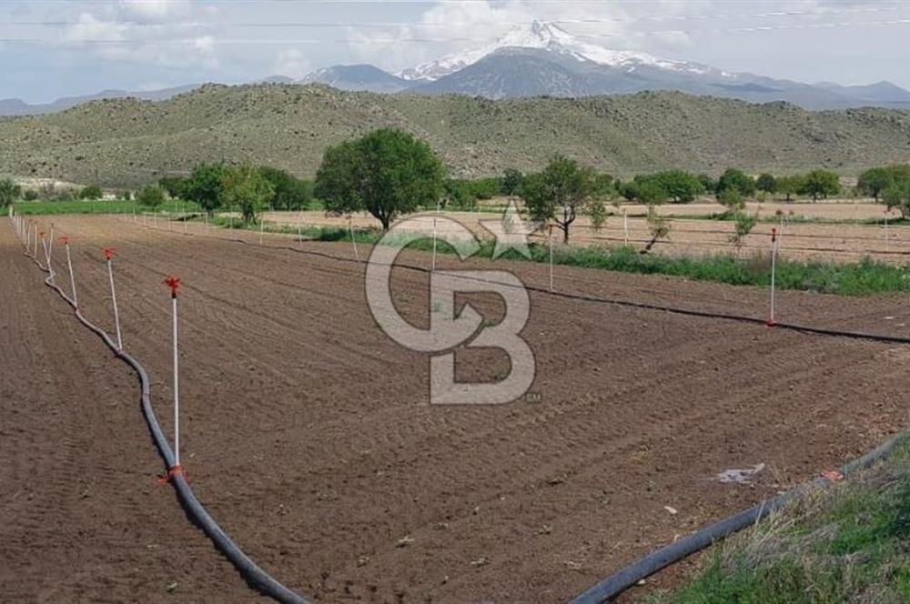 CB Zenith I İNCESU SEMERKENT'TE TEK TAPU 7.099 M2 SATILIK YOL KENARI BAĞ