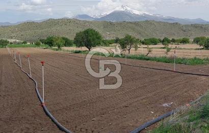 CB Zenith I İNCESU SEMERKENT'TE TEK TAPU 7.099 M2 SATILIK YOL KENARI BAĞ