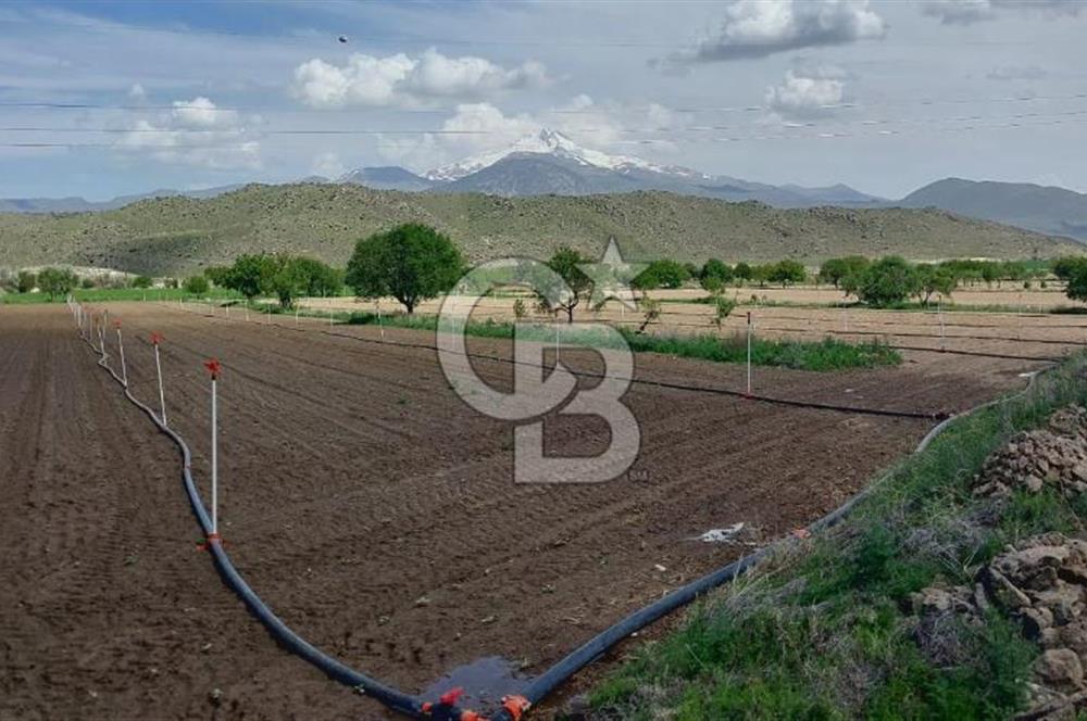 CB Zenith I İNCESU SEMERKENT'TE TEK TAPU 7.099 M2 SATILIK YOL KENARI BAĞ