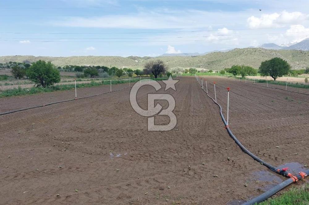 CB Zenith I İNCESU SEMERKENT'TE TEK TAPU 7.099 M2 SATILIK YOL KENARI BAĞ