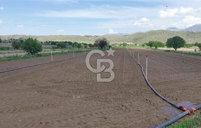 CB Zenith I İNCESU SEMERKENT'TE TEK TAPU 7.099 M2 SATILIK YOL KENARI BAĞ