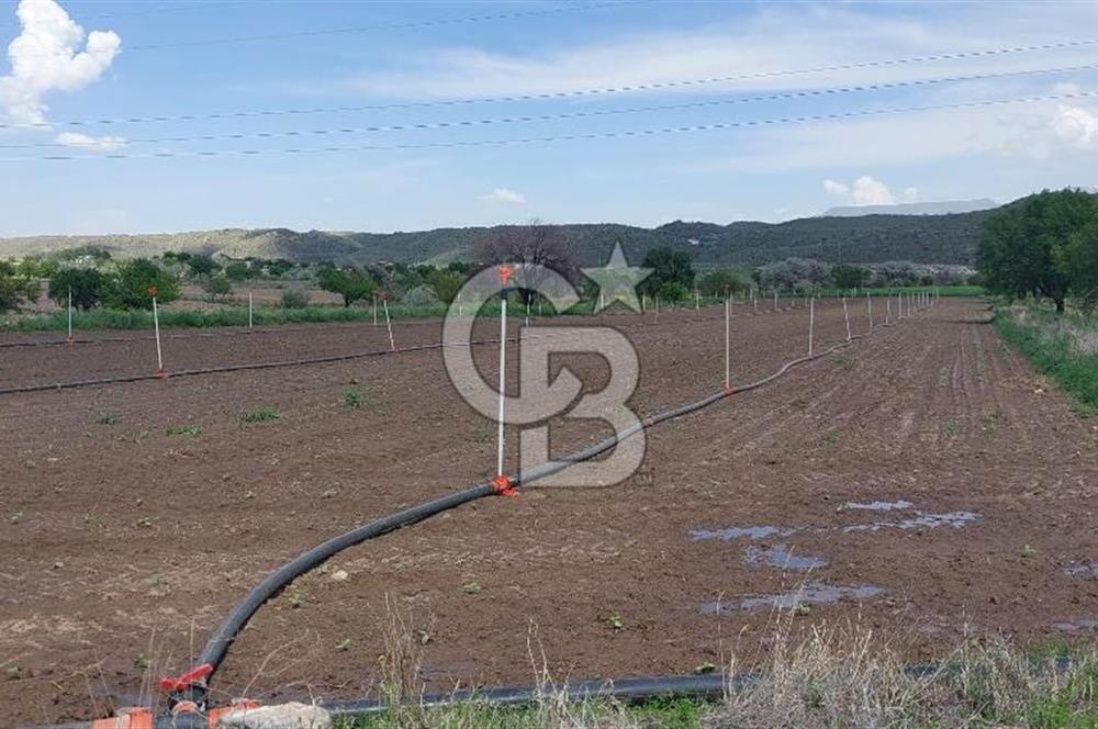 CB Zenith I İNCESU SEMERKENT'TE TEK TAPU 7.099 M2 SATILIK YOL KENARI BAĞ