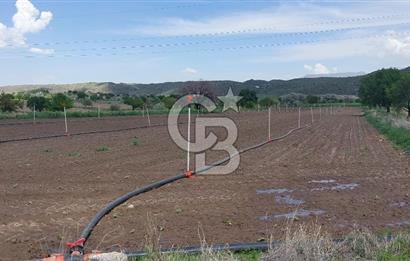 CB Zenith I İNCESU SEMERKENT'TE TEK TAPU 7.099 M2 SATILIK YOL KENARI BAĞ