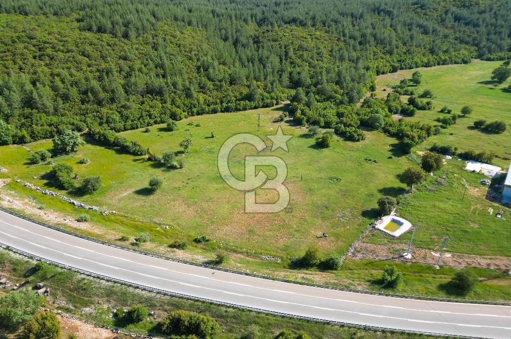 ANTALYA KAŞ SARILARDA D-400 KARA YOLU KENARINDA SATILIK TARLA