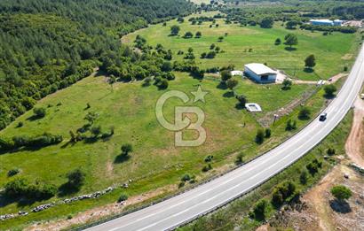 ANTALYA KAŞ SARILARDA D-400 KARA YOLU KENARINDA SATILIK TARLA