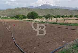 CB Zenith I İNCESU SEMERKENT'TE TEK TAPU 7.099 M2 SATILIK YOL KENARI BAĞ