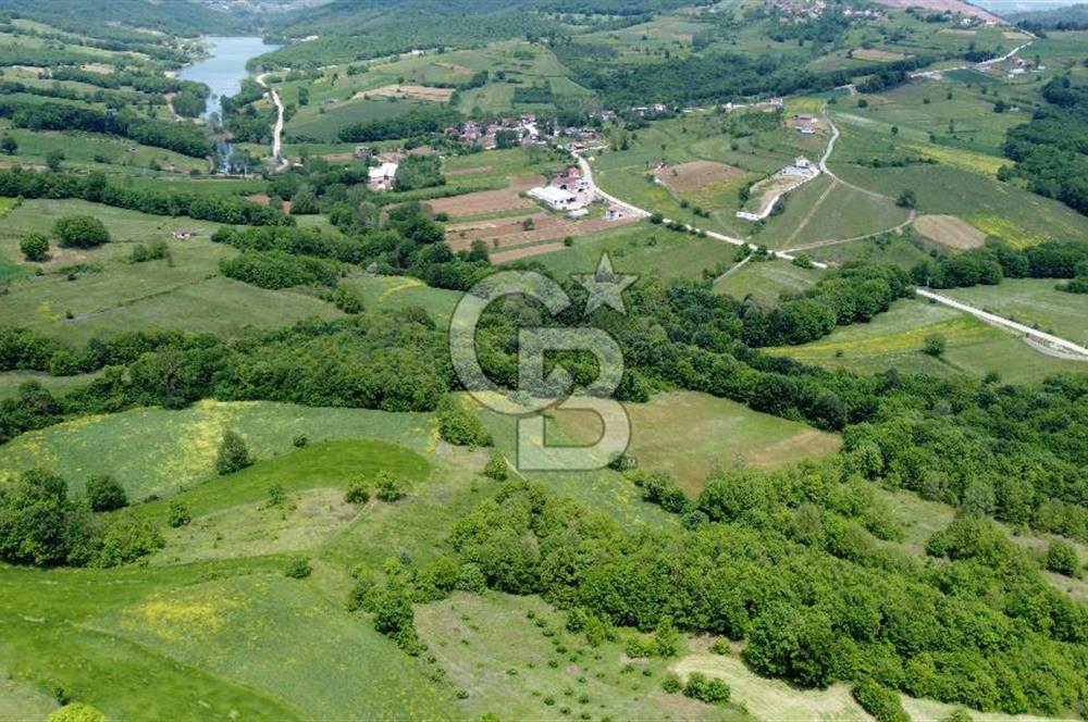 CB AKADEMİ KISALAR KÖYÜ SATILIK 4671 m2 TARLA