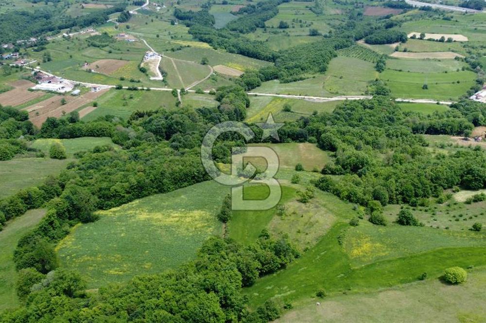 CB AKADEMİ KISALAR KÖYÜ SATILIK 4671 m2 TARLA