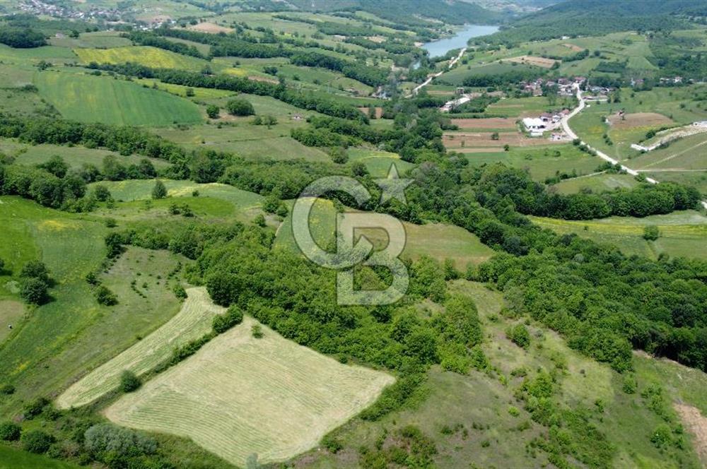 CB AKADEMİ KISALAR KÖYÜ SATILIK 4671 m2 TARLA