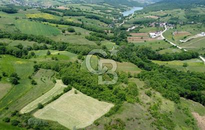 CB AKADEMİ KISALAR KÖYÜ SATILIK 4671 m2 TARLA