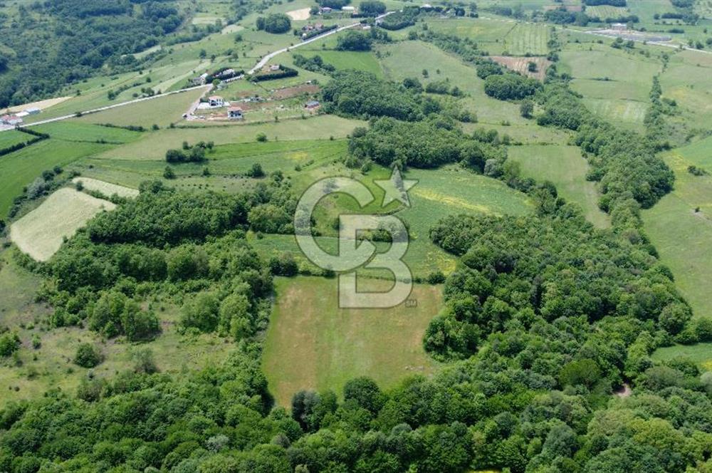 CB AKADEMİ KISALAR KÖYÜ SATILIK 4671 m2 TARLA