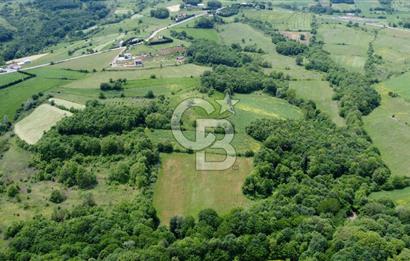 CB AKADEMİ KISALAR KÖYÜ SATILIK 4671 m2 TARLA
