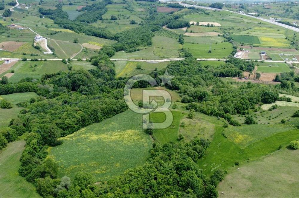 CB AKADEMİ KISALAR KÖYÜ SATILIK 4671 m2 TARLA