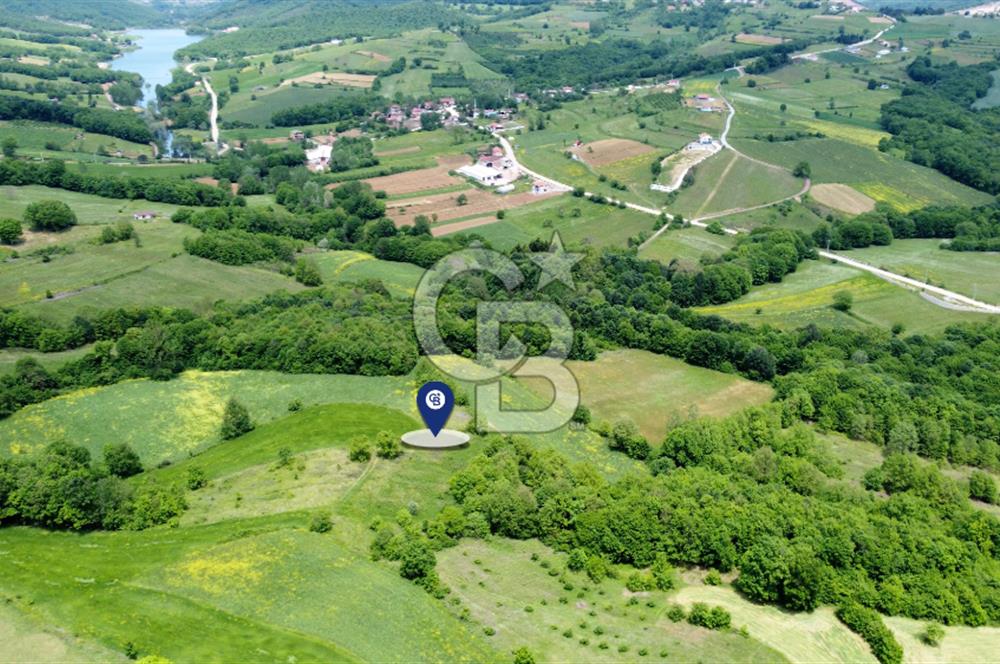 CB AKADEMİ KISALAR KÖYÜ SATILIK 4671 m2 TARLA