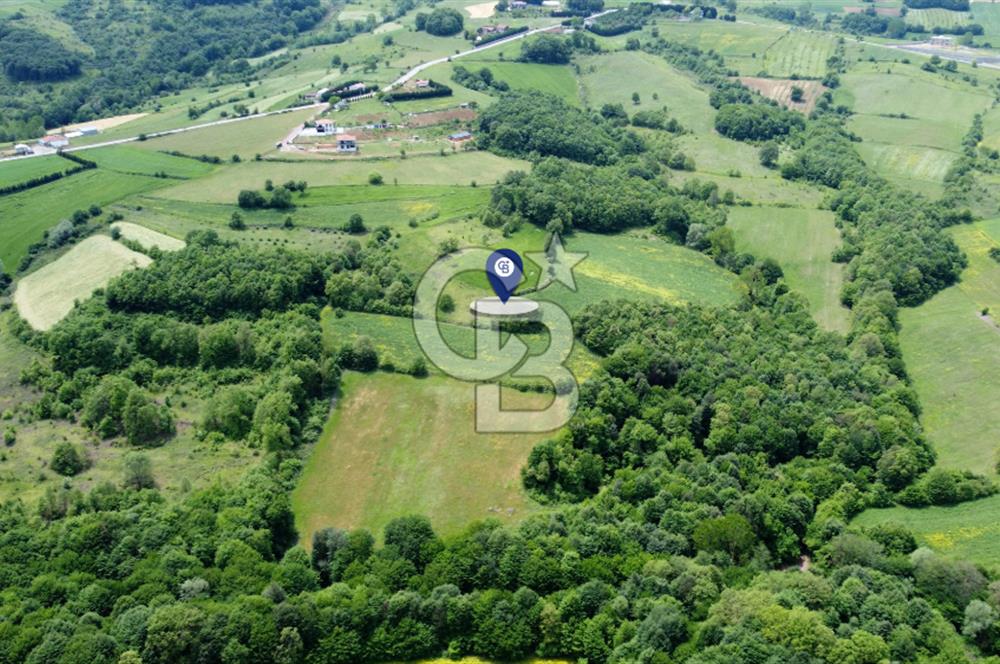 CB AKADEMİ KISALAR KÖYÜ SATILIK 4671 m2 TARLA