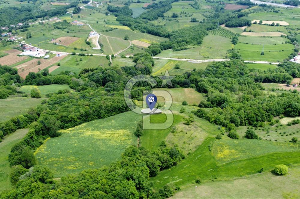 CB AKADEMİ KISALAR KÖYÜ SATILIK 4671 m2 TARLA