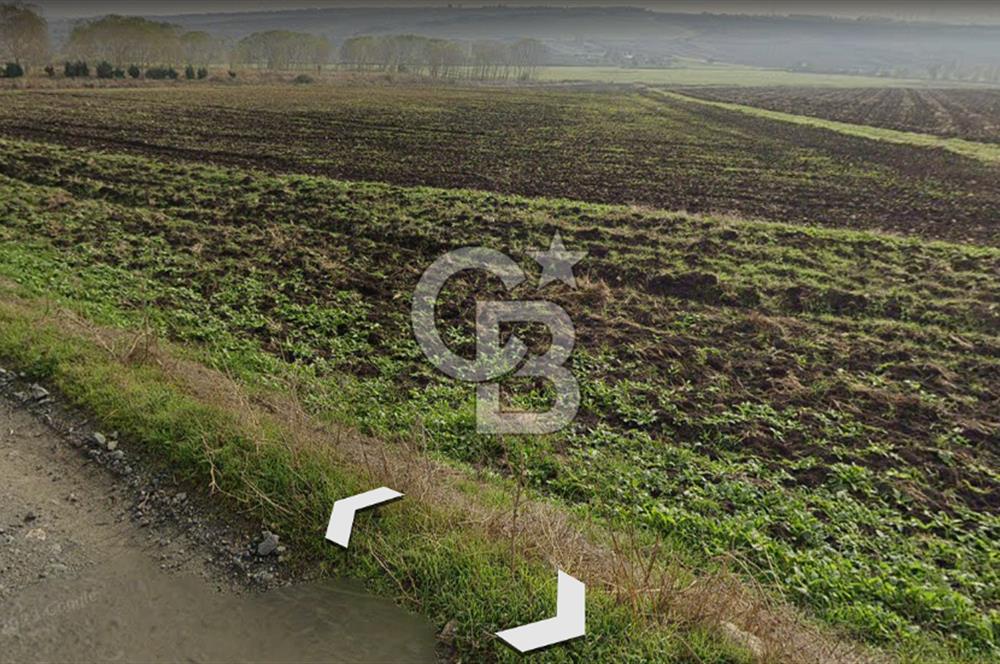 SATILIK PROJE BÖLGESİ BAHŞAYİŞ'DE CADDE CEPHELİ FIRSAT ARSA