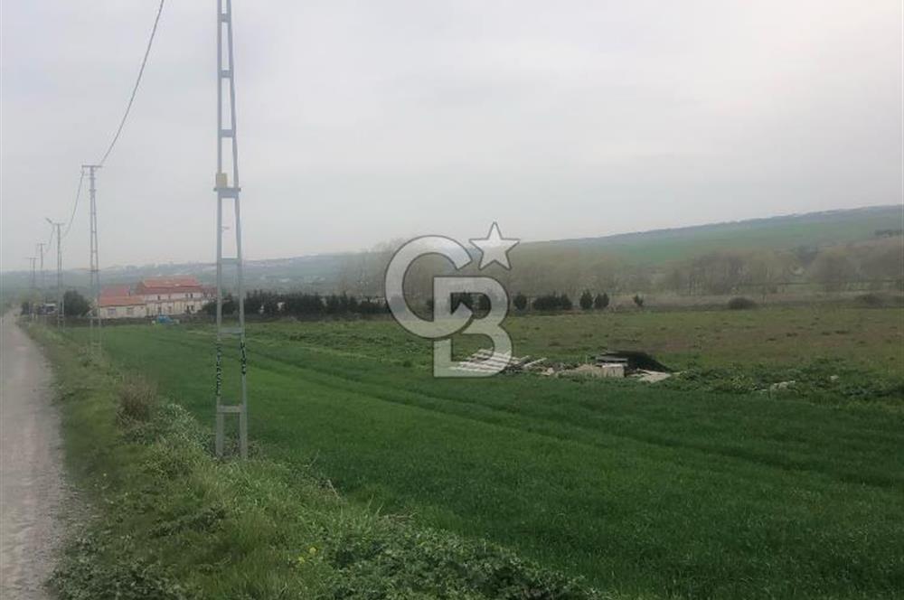 SATILIK PROJE BÖLGESİ BAHŞAYİŞ'DE CADDE CEPHELİ FIRSAT ARSA