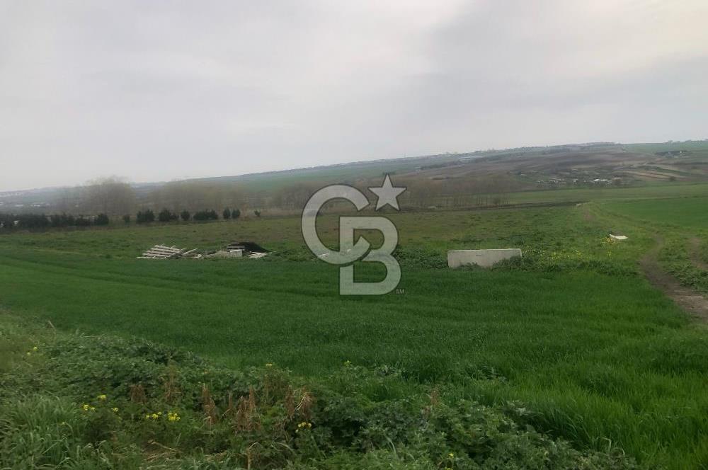 SATILIK PROJE BÖLGESİ BAHŞAYİŞ'DE CADDE CEPHELİ FIRSAT ARSA