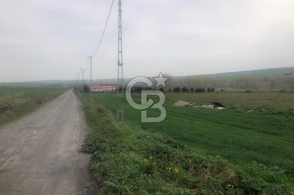 SATILIK PROJE BÖLGESİ BAHŞAYİŞ'DE CADDE CEPHELİ FIRSAT ARSA