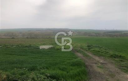 SATILIK PROJE BÖLGESİ BAHŞAYİŞ'DE CADDE CEPHELİ FIRSAT ARSA