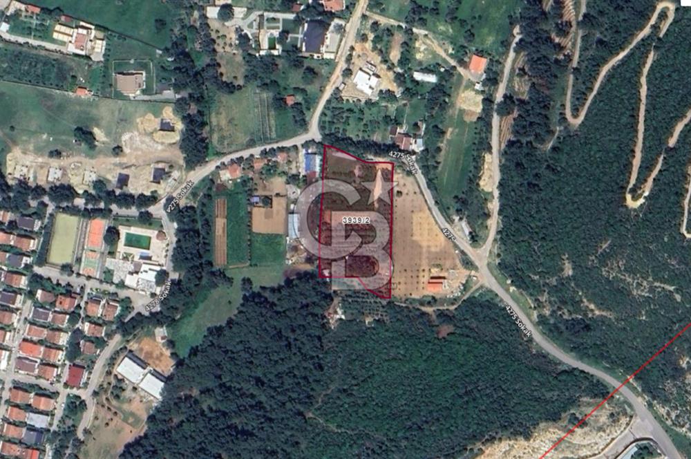 Urla Oztuncerler Emsalsiz Tarla