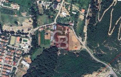 Urla Oztuncerler Emsalsiz Tarla