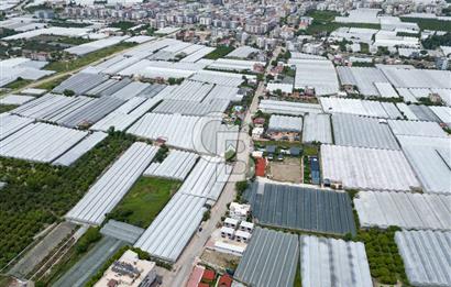 ANTALYA DEMRE BÜYÜKKUMDA DEĞER KAZANMAYA HAZIR SATILIK TARLA