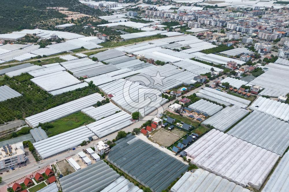 ANTALYA DEMRE BÜYÜKKUMDA DEĞER KAZANMAYA HAZIR SATILIK TARLA