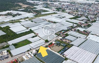 ANTALYA DEMRE BÜYÜKKUMDA DEĞER KAZANMAYA HAZIR SATILIK TARLA