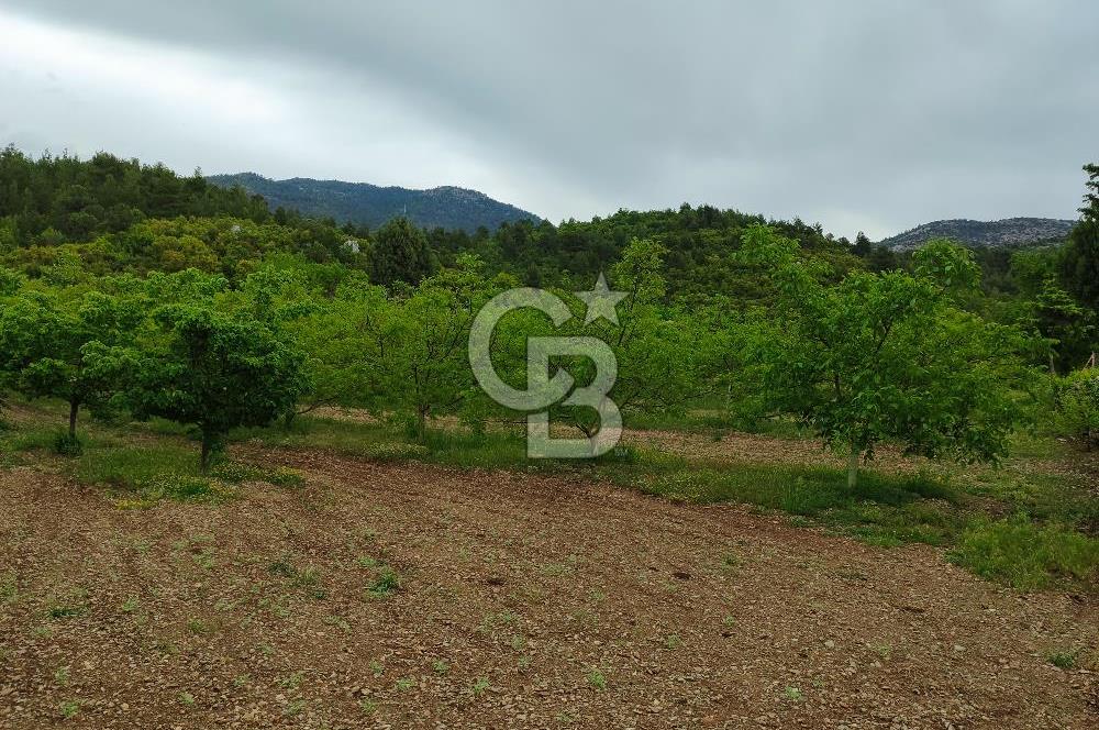 Bucakkışla da satılık 12429m2 arazi
