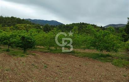 Bucakkışla da satılık 12429m2 arazi