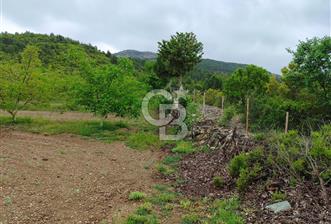 Bucakkışla da satılık 12429m2 arazi