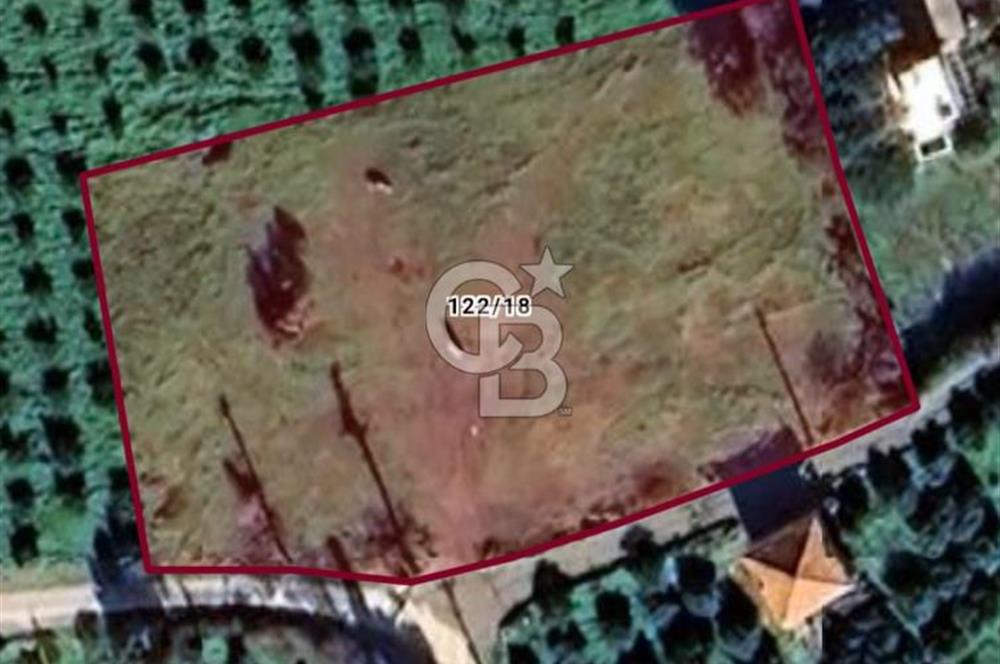 KARABURUN BADEMBÜKÜ'nde 3.157 m² YATIRIMLIK TARLA!