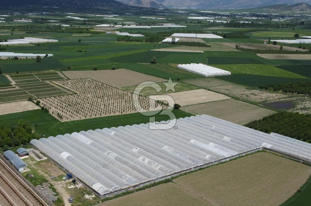 ANTALYA ELMALI ZÜMRÜTOVADA SERA KURULU TARLA
