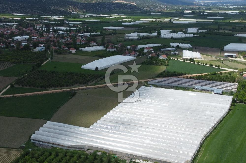 ANTALYA ELMALI ZÜMRÜTOVADA SERA KURULU TARLA