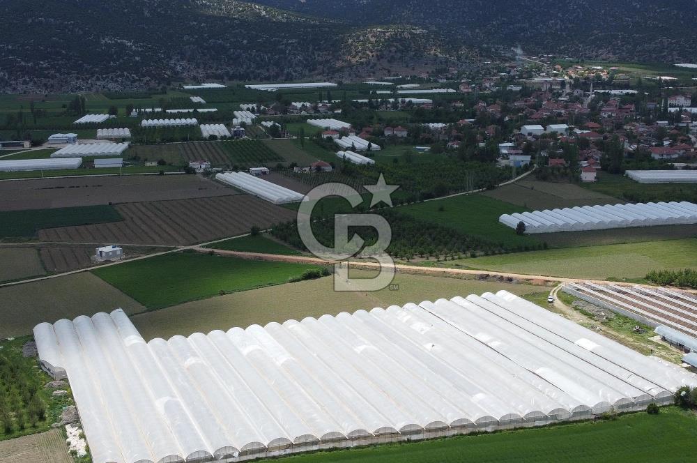 ANTALYA ELMALI ZÜMRÜTOVADA SERA KURULU TARLA