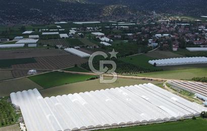 ANTALYA ELMALI ZÜMRÜTOVADA SERA KURULU TARLA