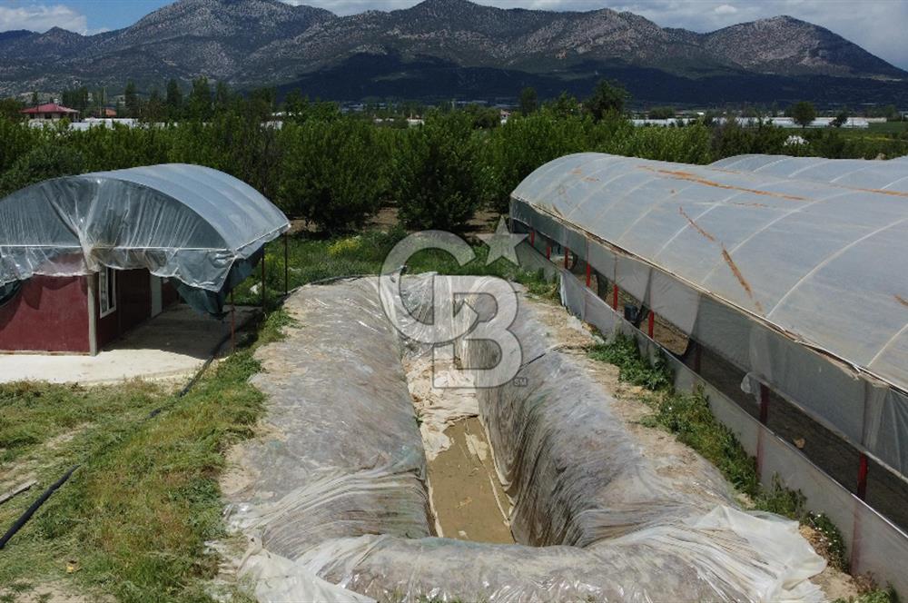 ANTALYA ELMALI ZÜMRÜTOVADA SERA KURULU TARLA