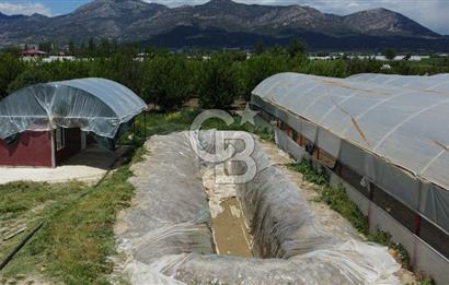 ANTALYA ELMALI ZÜMRÜTOVADA SERA KURULU TARLA