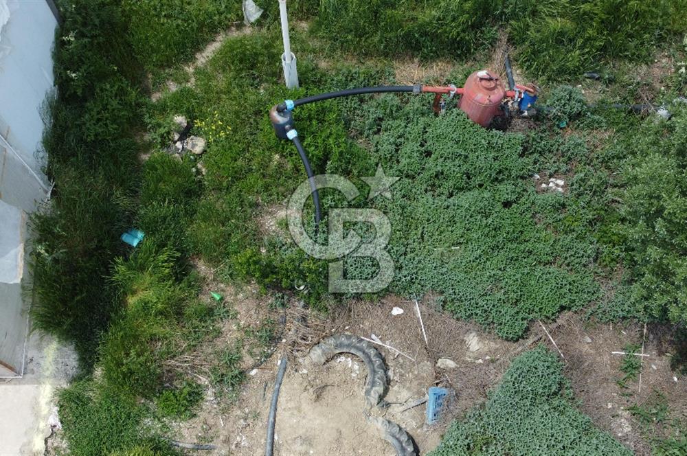 ANTALYA ELMALI ZÜMRÜTOVADA SERA KURULU TARLA