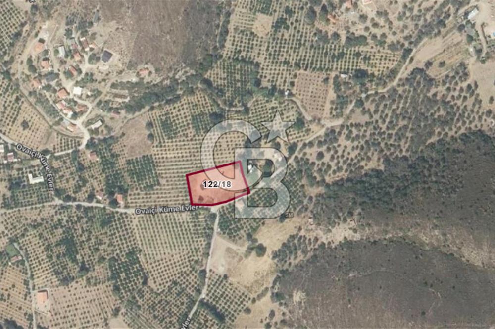 KARABURUN BADEMBÜKÜ'nde 3.157 m² YATIRIMLIK TARLA!