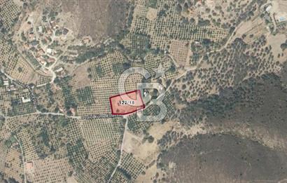 KARABURUN BADEMBÜKÜ'nde 3.157 m² YATIRIMLIK TARLA!